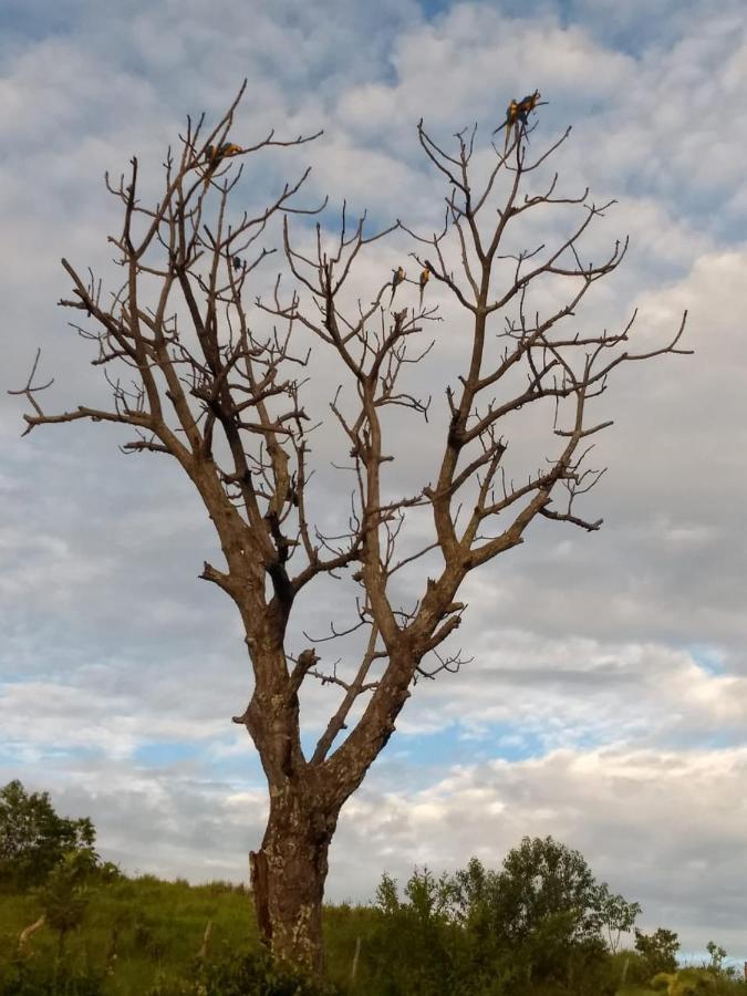 Fazenda Taruma Pirenópolis Esterno foto